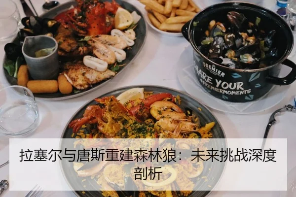 拉塞尔与唐斯重建森林狼：未来挑战深度剖析